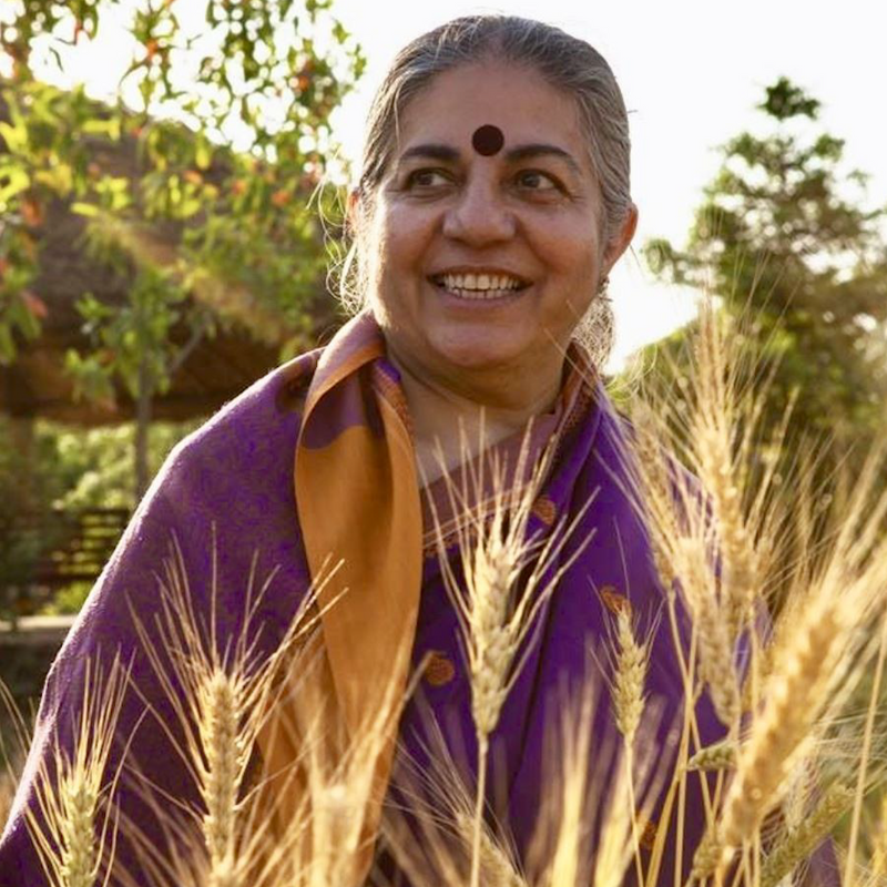 Overcoming Divide & Rule Corporatocracy w/ Vandana Shiva | AMP #386